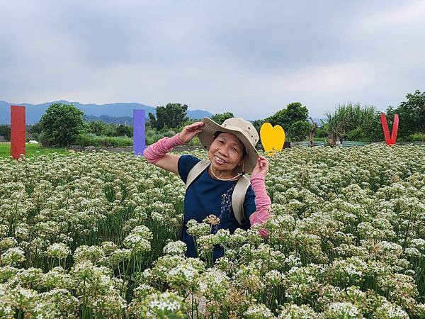 2023年大溪韭菜花田~~九月雪我又來了