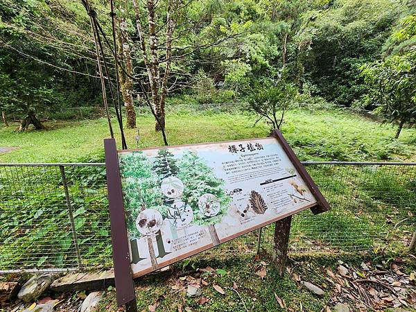 宜蘭太平山深度之旅四日遊(一)福山植物園