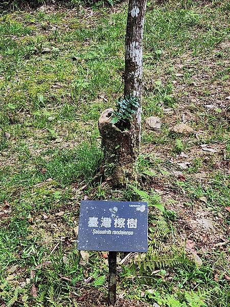 宜蘭太平山深度之旅四日遊(一)福山植物園