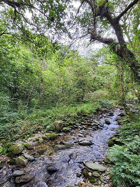 宜蘭太平山深度之旅四日遊(一)福山植物園