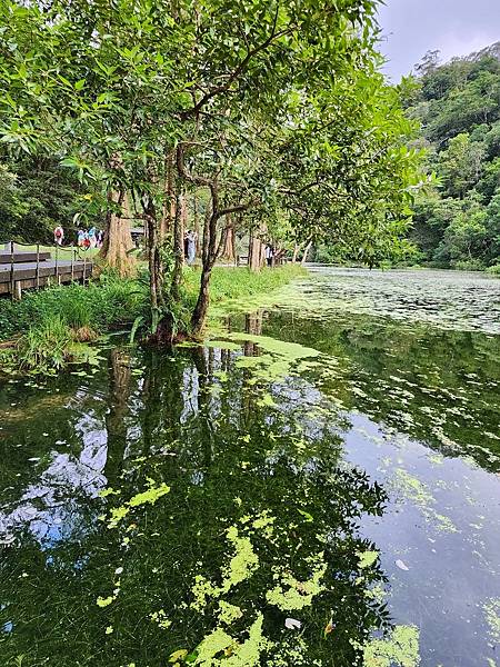 宜蘭太平山深度之旅四日遊(一)福山植物園