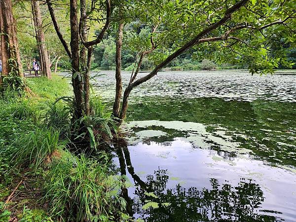 宜蘭太平山深度之旅四日遊(一)福山植物園