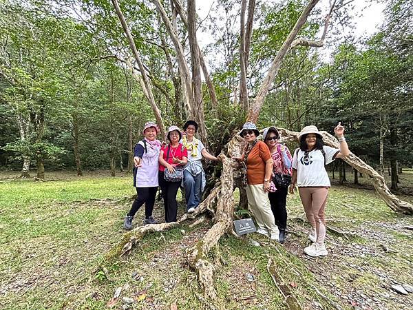 宜蘭太平山深度之旅四日遊(一)福山植物園