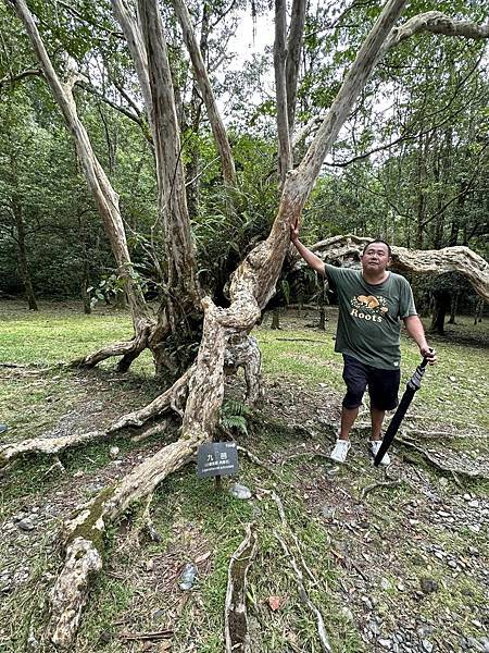 宜蘭太平山深度之旅四日遊(一)福山植物園