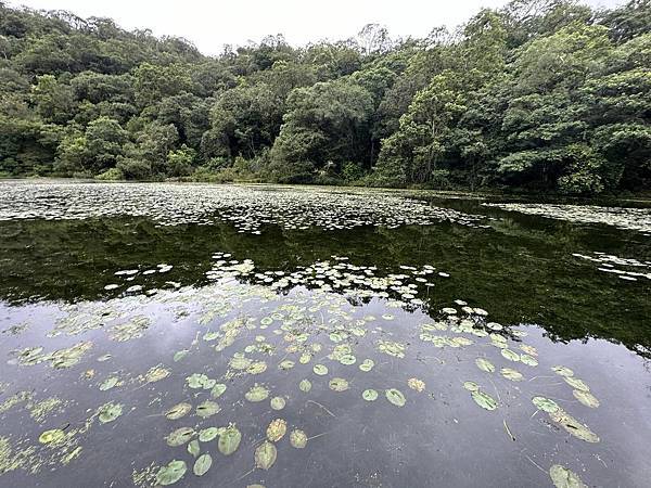 宜蘭太平山深度之旅四日遊(一)福山植物園