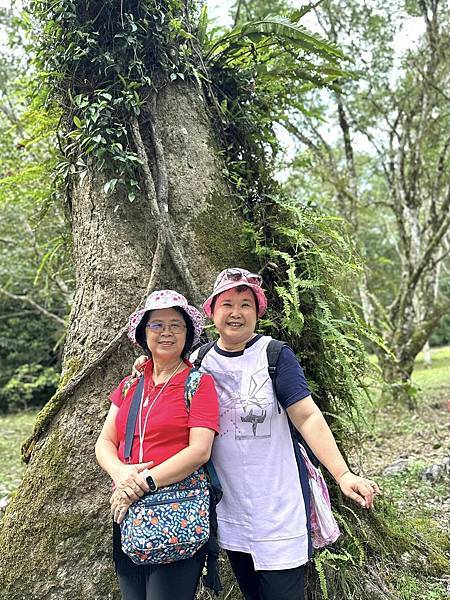 宜蘭太平山深度之旅四日遊(一)福山植物園