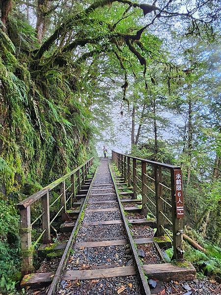 宜蘭太平山深度之旅四日遊(二)見晴懷古步道