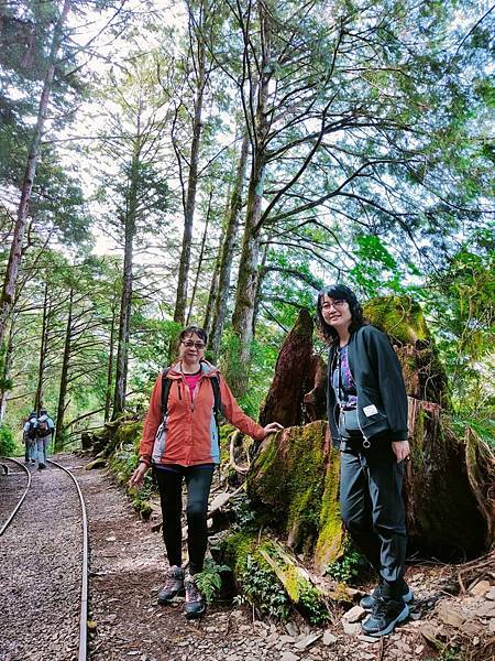 宜蘭太平山深度之旅四日遊(二)見晴懷古步道