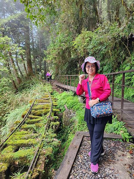 宜蘭太平山深度之旅四日遊(二)見晴懷古步道