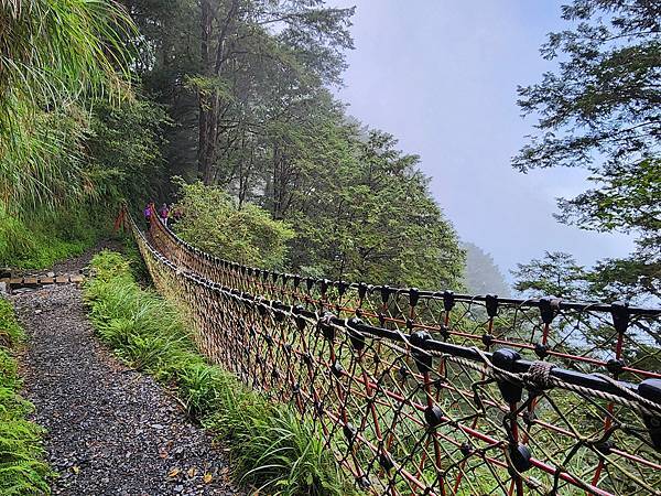 宜蘭太平山深度之旅四日遊(二)見晴懷古步道