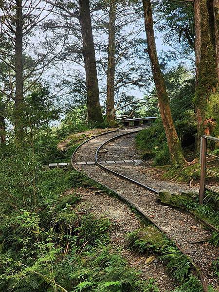 宜蘭太平山深度之旅四日遊(二)見晴懷古步道