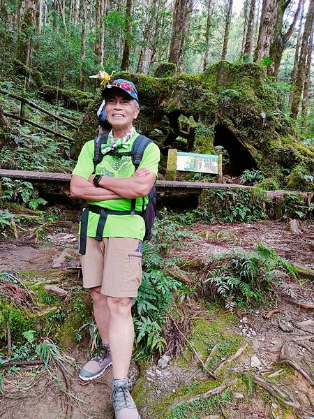 宜蘭太平山深度之旅四日遊(二)見晴懷古步道