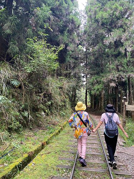 宜蘭太平山深度之旅四日遊(二)見晴懷古步道