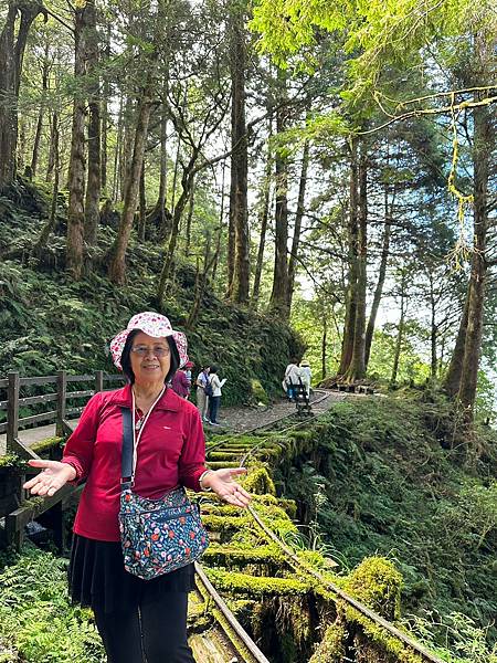 宜蘭太平山深度之旅四日遊(二)見晴懷古步道