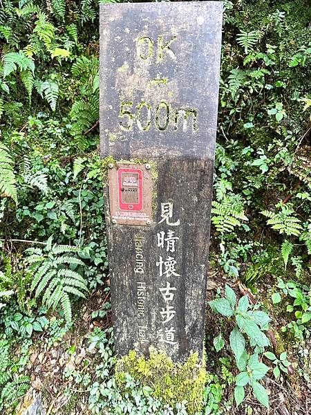 宜蘭太平山深度之旅四日遊(二)見晴懷古步道