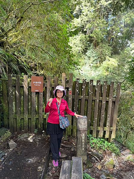 宜蘭太平山深度之旅四日遊(二)見晴懷古步道