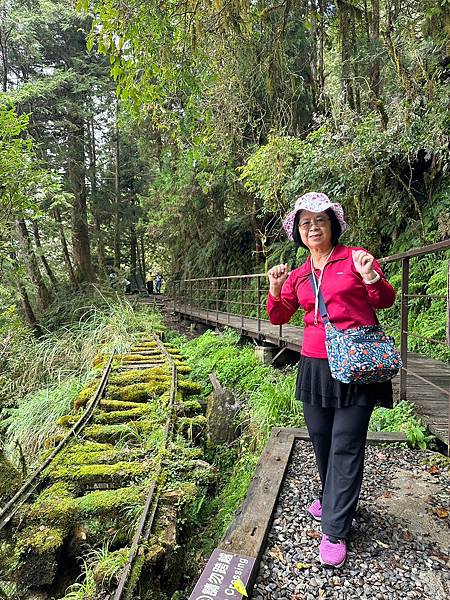 宜蘭太平山深度之旅四日遊(二)見晴懷古步道