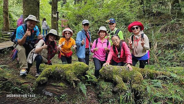 宜蘭太平山深度之旅四日遊(四)蹦蹦車~茂興車站步道