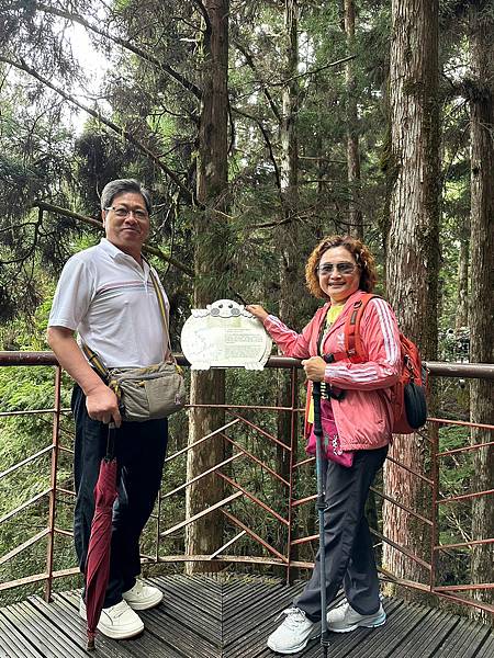 宜蘭太平山深度之旅四日遊(四)蹦蹦車~茂興車站步道