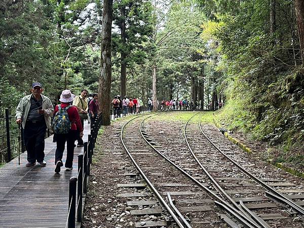 宜蘭太平山深度之旅四日遊(四)蹦蹦車~茂興車站步道