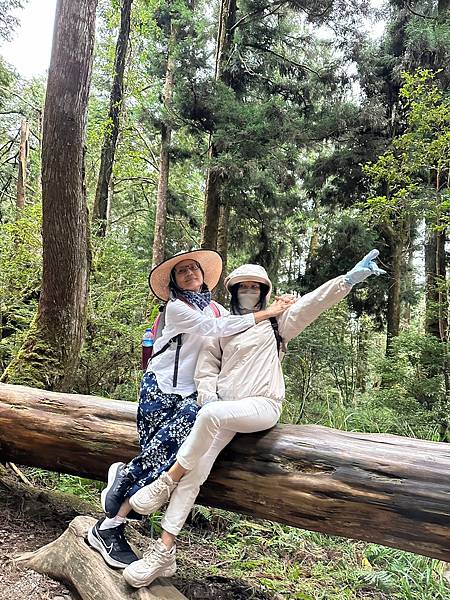 宜蘭太平山深度之旅四日遊(四)蹦蹦車~茂興車站步道