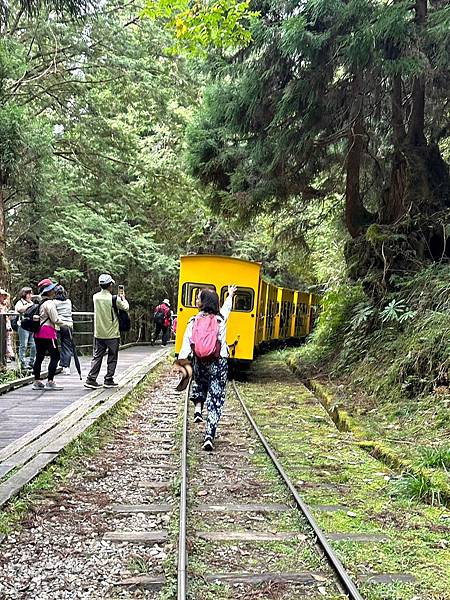 宜蘭太平山深度之旅四日遊(四)蹦蹦車~茂興車站步道