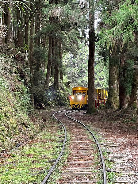 宜蘭太平山深度之旅四日遊(四)蹦蹦車~茂興車站步道