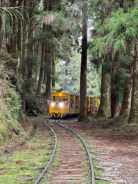 宜蘭太平山深度之旅四日遊(四)蹦蹦車~茂興車站步道