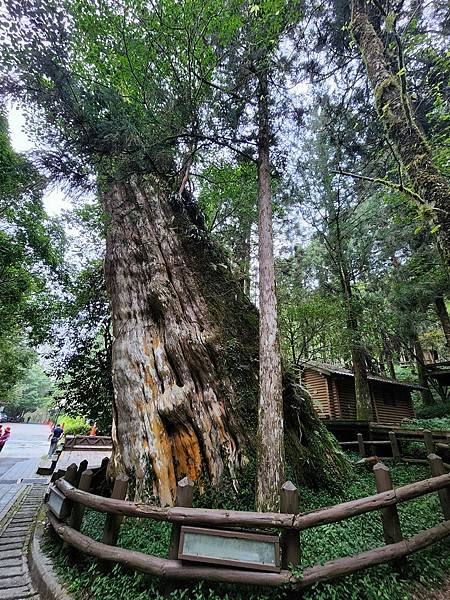 宜蘭太平山深度之旅四日遊(七)明池山莊~~明池遊樂區