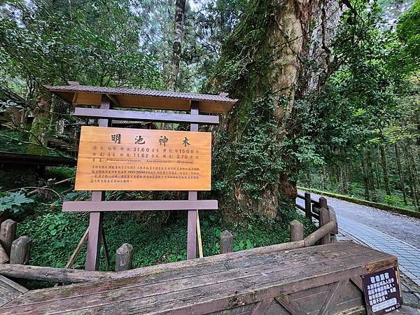 宜蘭太平山深度之旅四日遊(七)明池山莊~~明池遊樂區