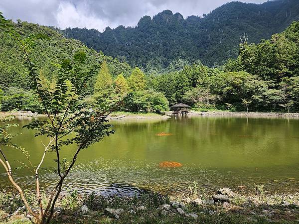 宜蘭太平山深度之旅四日遊(七)明池山莊~~明池遊樂區