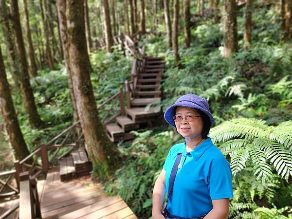 宜蘭太平山深度之旅四日遊(七)明池山莊~~明池遊樂區