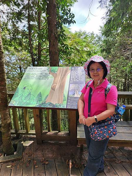 宜蘭太平山深度之旅四日遊(六)棲蘭山莊~~馬告生態神木園區