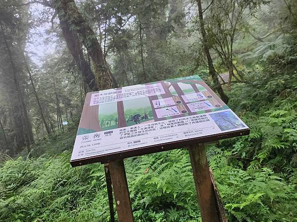 宜蘭太平山深度之旅四日遊(六)棲蘭山莊~~馬告生態神木園區