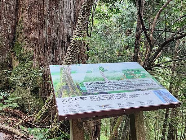 宜蘭太平山深度之旅四日遊(六)棲蘭山莊~~馬告生態神木園區