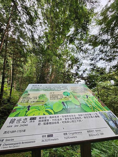 宜蘭太平山深度之旅四日遊(六)棲蘭山莊~~馬告生態神木園區