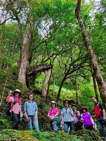 宜蘭太平山深度之旅四日遊(六)棲蘭山莊~~馬告生態神木園區