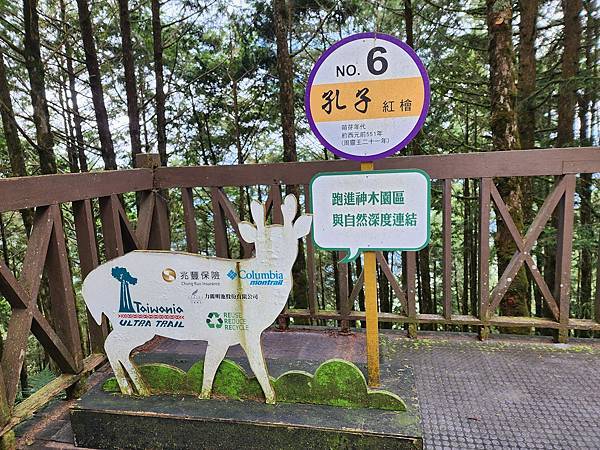 宜蘭太平山深度之旅四日遊(六)棲蘭山莊~~馬告生態神木園區