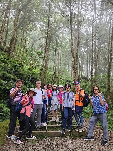 宜蘭太平山深度之旅四日遊(六)棲蘭山莊~~馬告生態神木園區