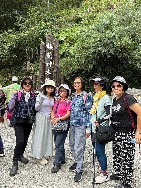 宜蘭太平山深度之旅四日遊(六)棲蘭山莊~~馬告生態神木園區