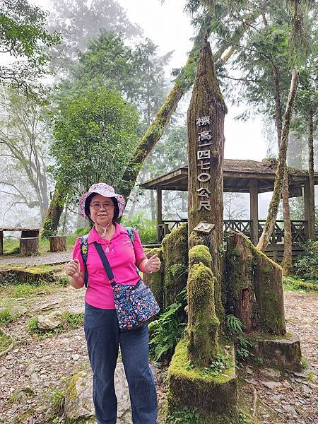 宜蘭太平山深度之旅四日遊(六)棲蘭山莊~~馬告生態神木園區