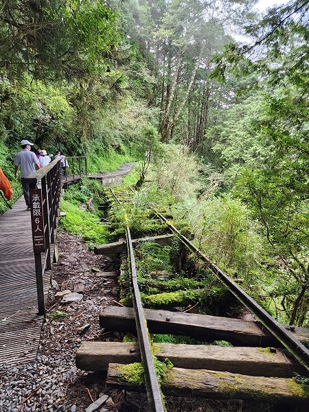 宜蘭太平山深度之旅四日遊(二)見晴懷古步道