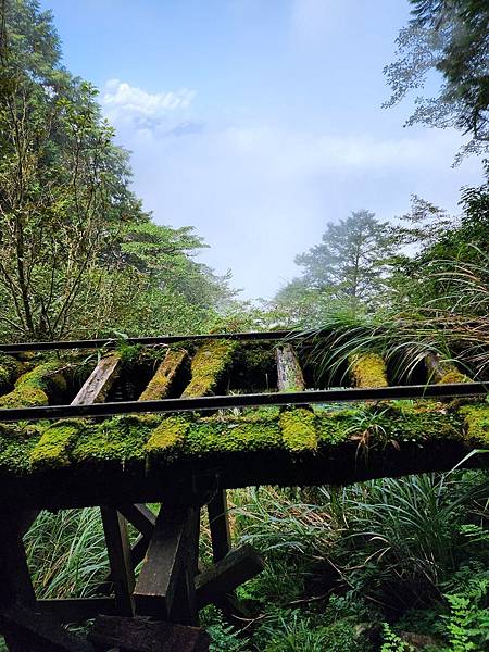 宜蘭太平山深度之旅四日遊(二)見晴懷古步道