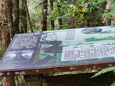 宜蘭太平山深度之旅四日遊(六)棲蘭山莊~~馬告生態神木園區