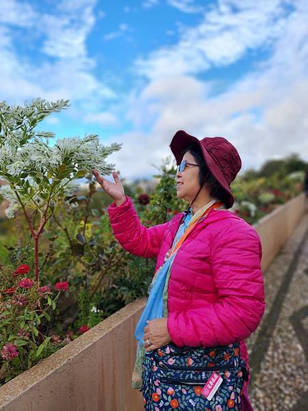 伊比利半島西葡15天之旅(十五)西班牙格拉瑞達阿汗布拉宮