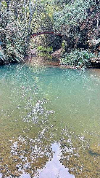 南投魚池鄉澀水步道