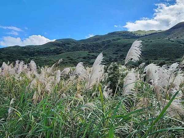 陽明山泡湯二日遊~~金山溫泉公園&綠峯渡假山莊