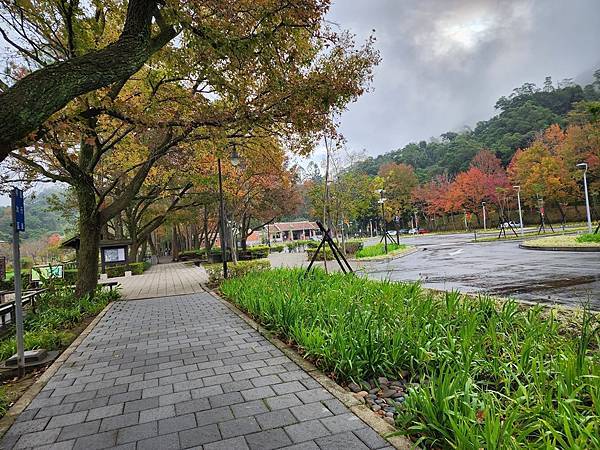 角板山公園初遇紅葉