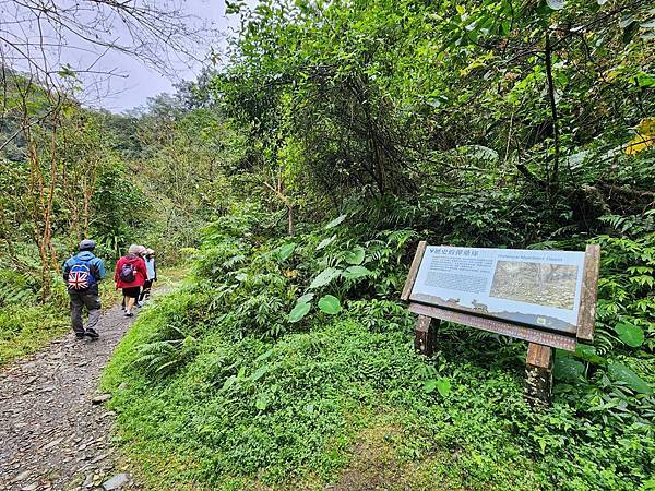 宜蘭九寮溪步道&猴洞坑瀑布