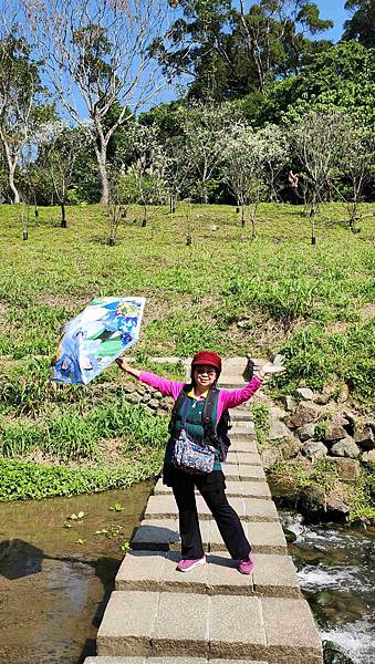 【台北賞櫻景點】東湖樂活公園賞櫻&內溝溪步道粉嫩浪漫櫻花